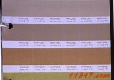 TPX可撕色票 FBP100 PANTONE 潘通Fashion and Home Color Specifier and Guide - Paper Edition服裝和家居TPX色票