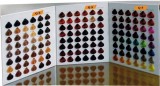 染發(fā)色卡 頭發(fā)色卡 毛板染色色卡 Hair Color Chart